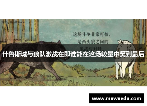 什鲁斯城与狼队激战在即谁能在这场较量中笑到最后