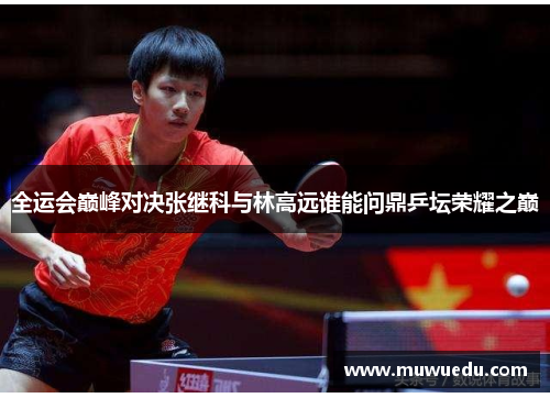 全运会巅峰对决张继科与林高远谁能问鼎乒坛荣耀之巅